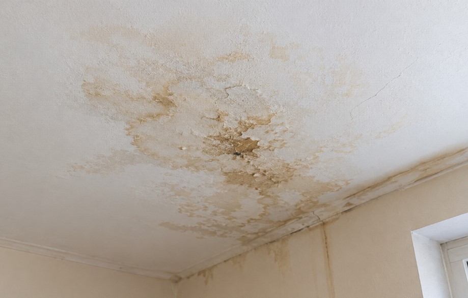 flat roof leak